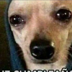 Meet your Posher, Alejandro